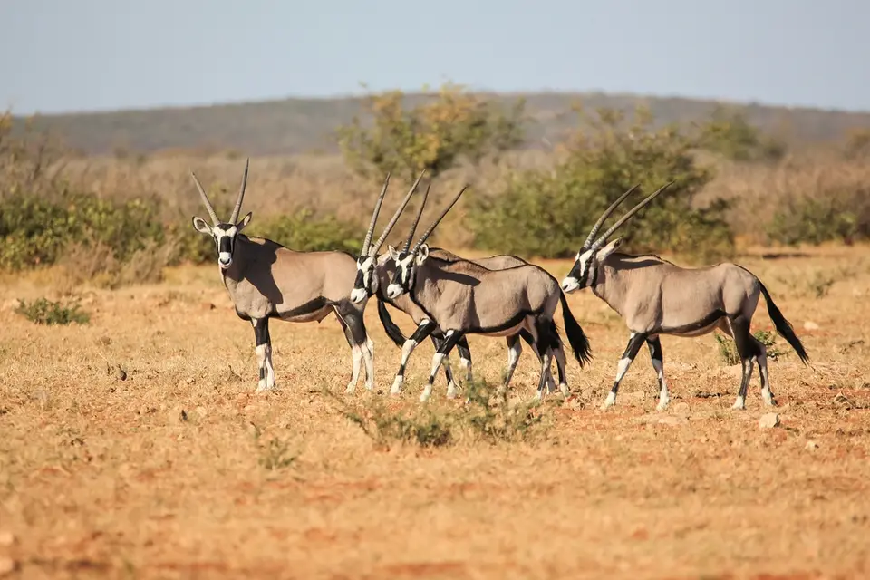 Namibia02-1460.jpg