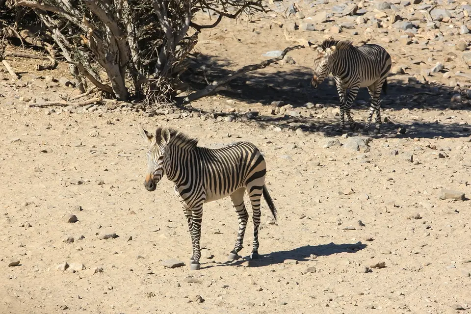 Namibia02-1998.jpg