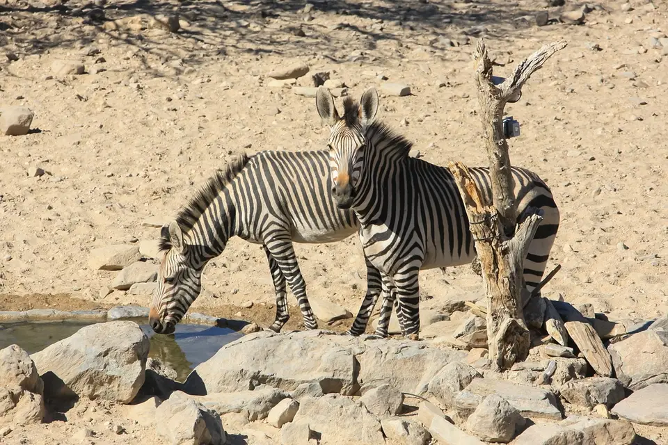Namibia02-2002.jpg