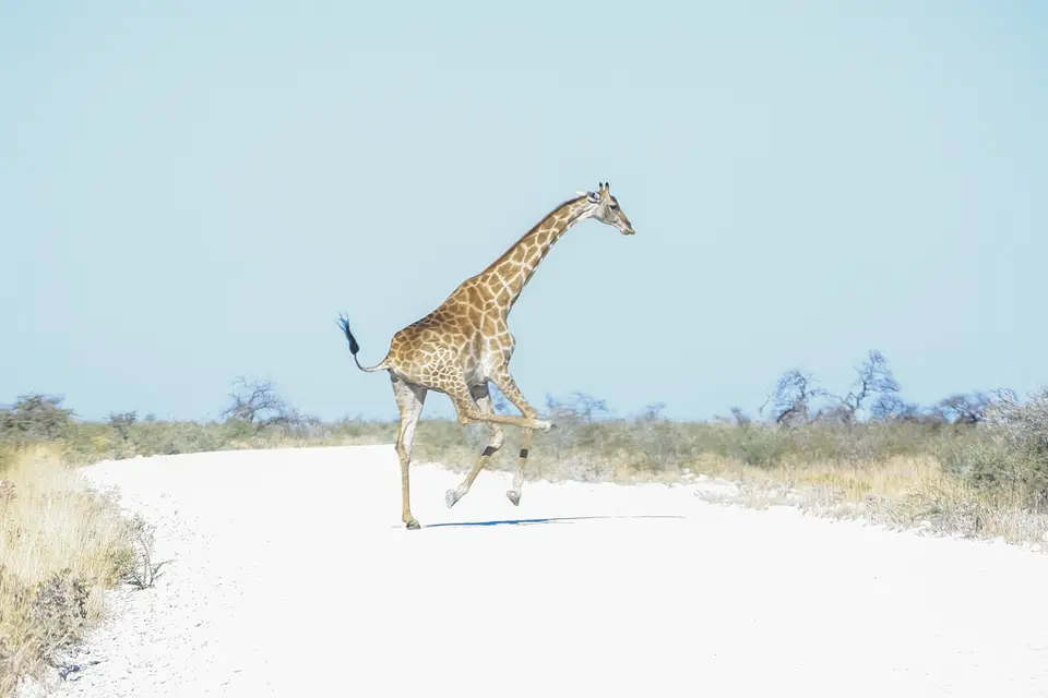 Namibia02-856.jpg