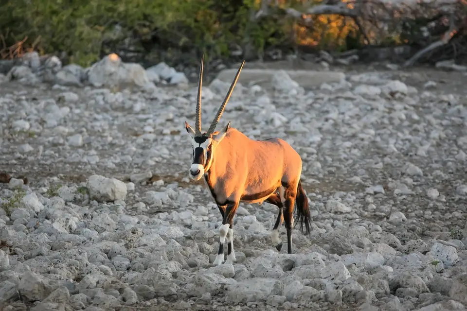 Namibia02-986.jpg