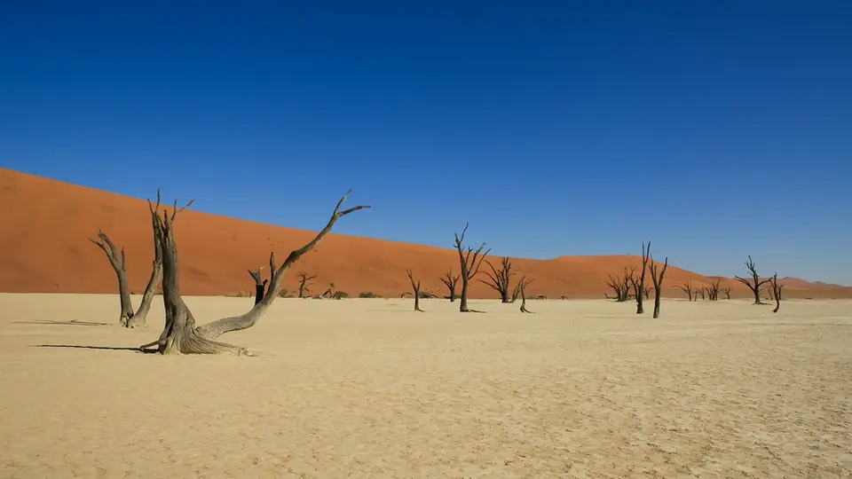 Namibia03-119.jpg
