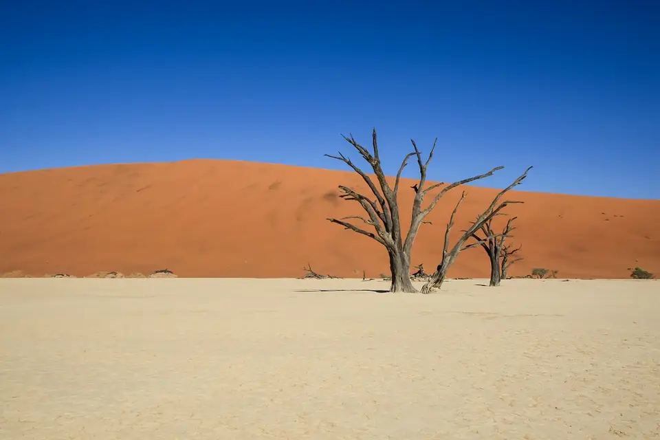 Namibia03-132.jpg