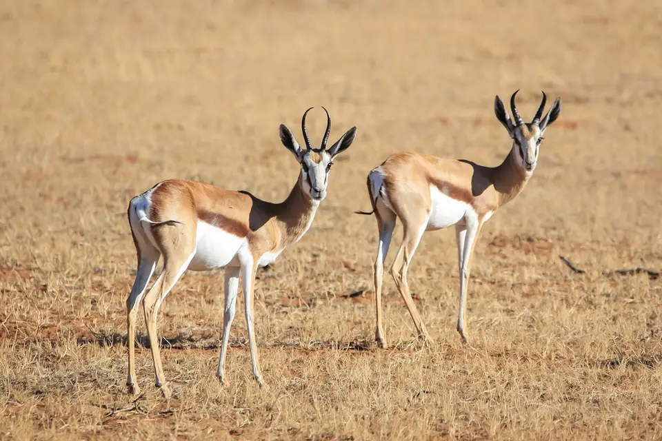 Namibia03-229.jpg