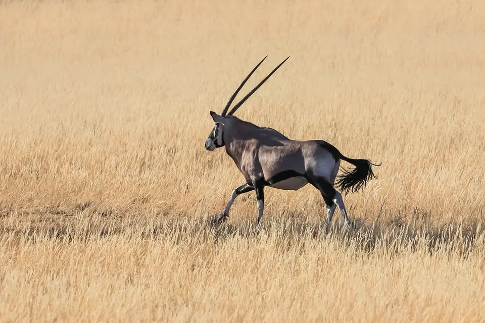 Namibia03-245.jpg