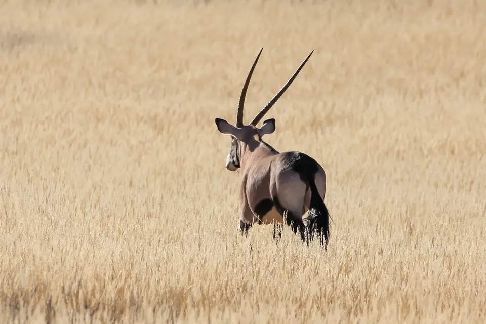Namibia03-248.jpg