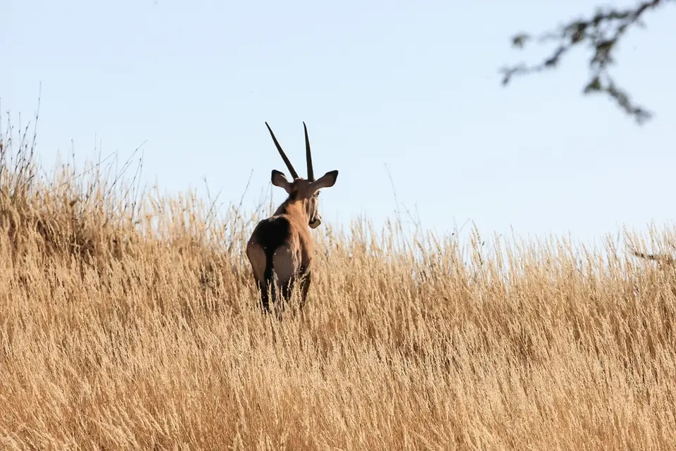 Namibia03-257.jpg