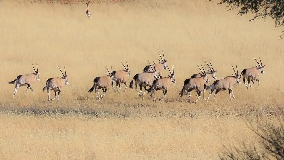 Namibia03-262.jpg