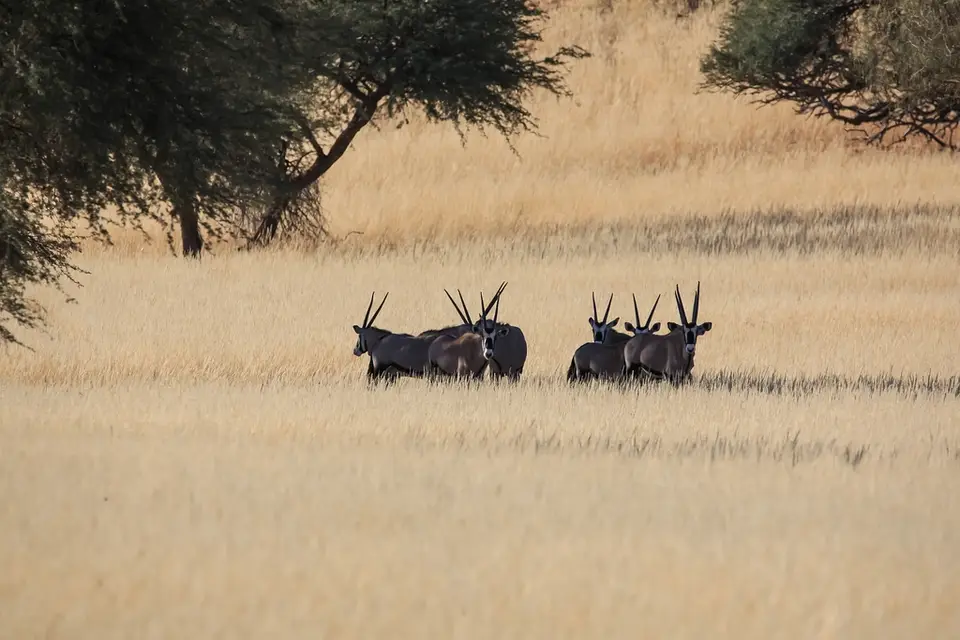 Namibia03-267.jpg