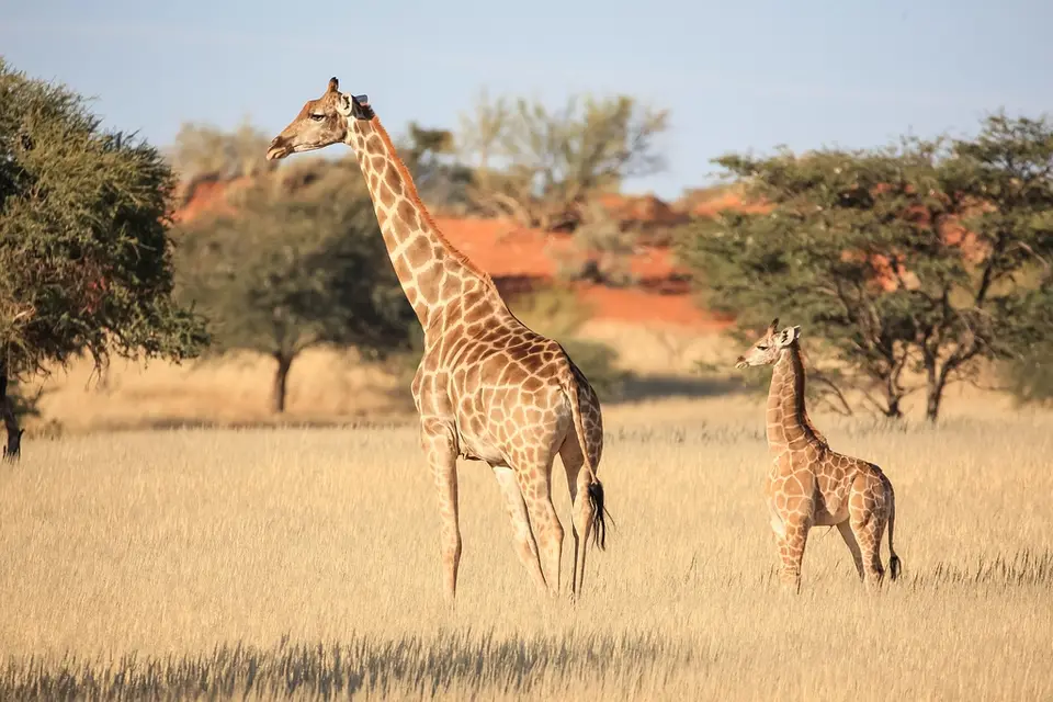 Namibia03-306.jpg