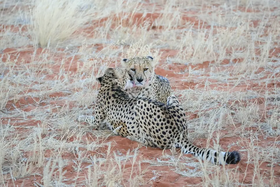 Namibia03-342.jpg