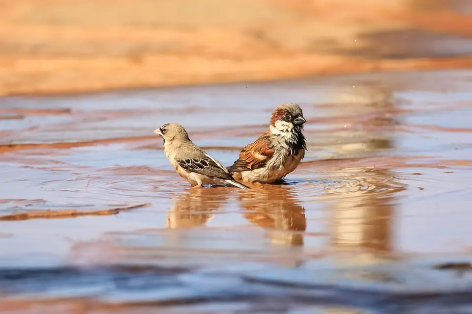Namibia03-487.jpg