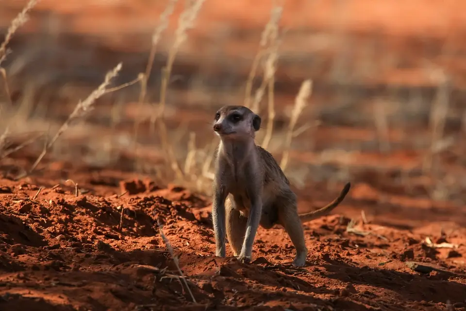 Namibia03-573.jpg