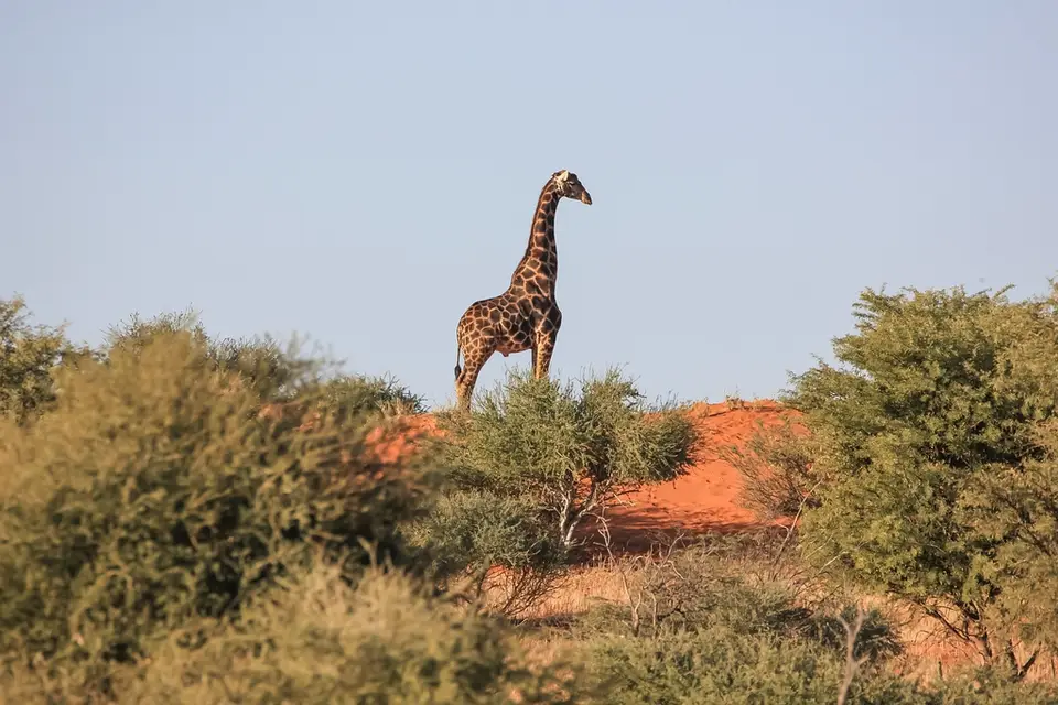 Namibia03-626.jpg