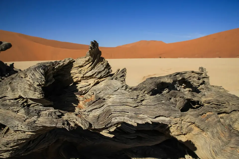 Namibia03-98.jpg