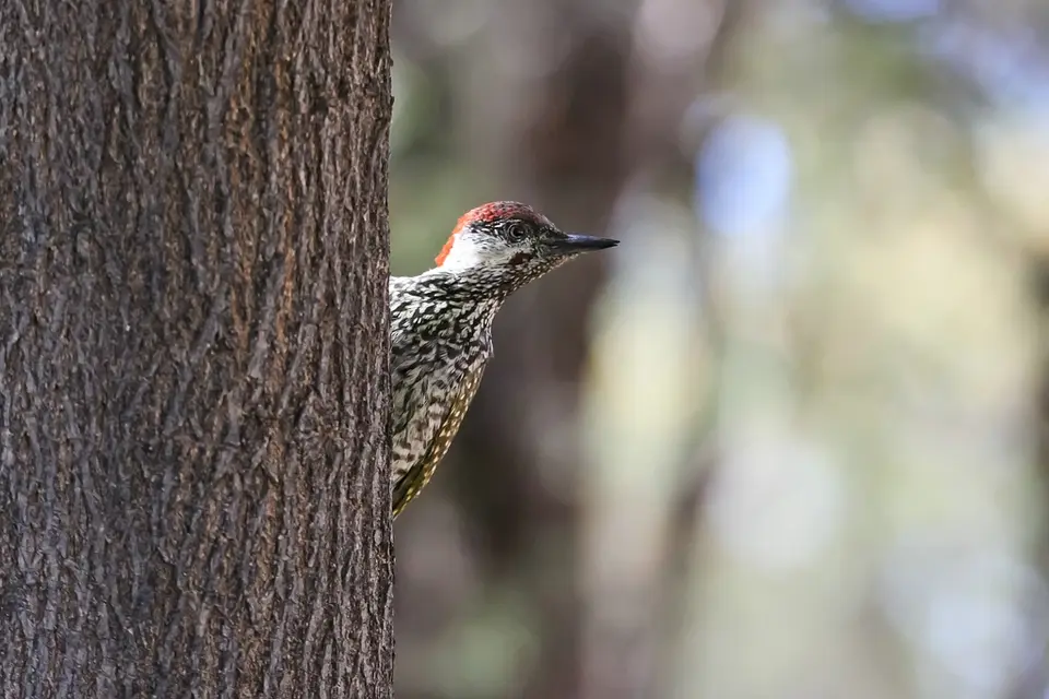 Namibia04-67.jpg