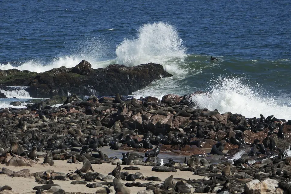 CapeCross22(9).jpg