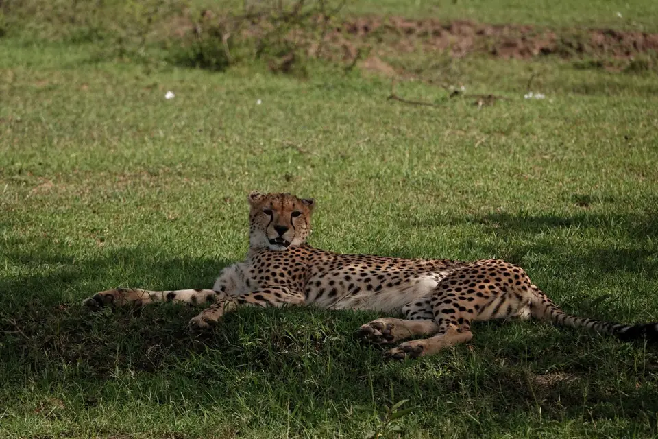 DSC00067_DxO.jpg