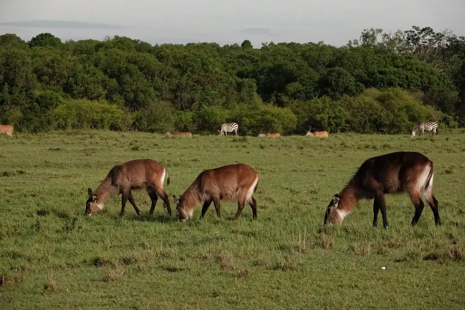DSC00200_DxO.jpg
