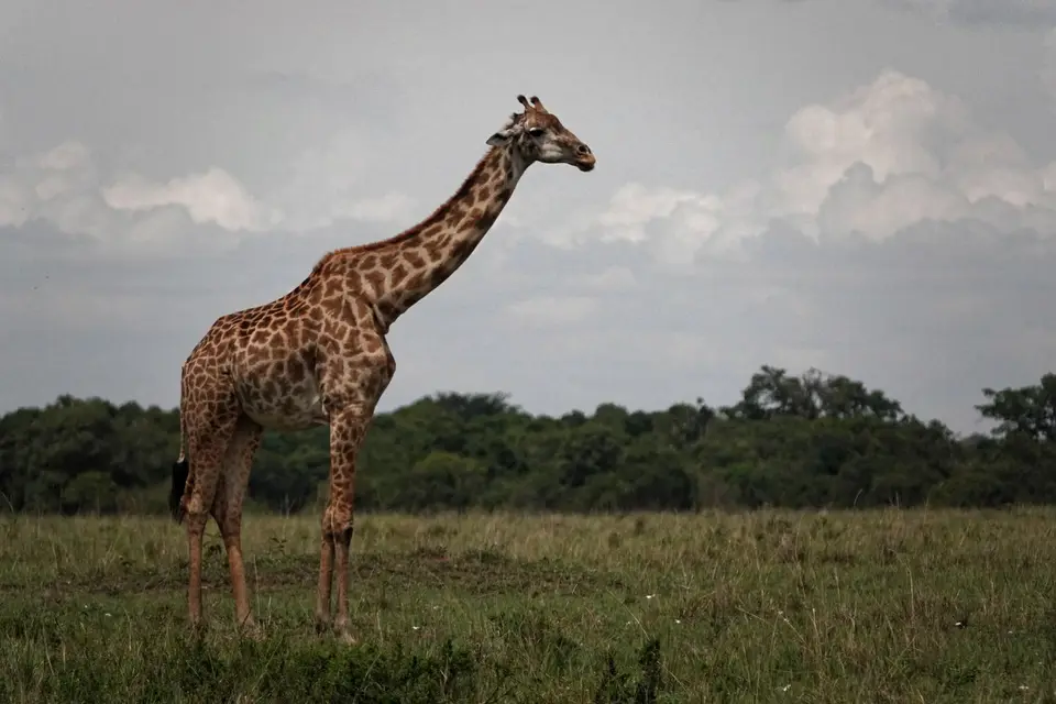 DSC00233_DxO.jpg