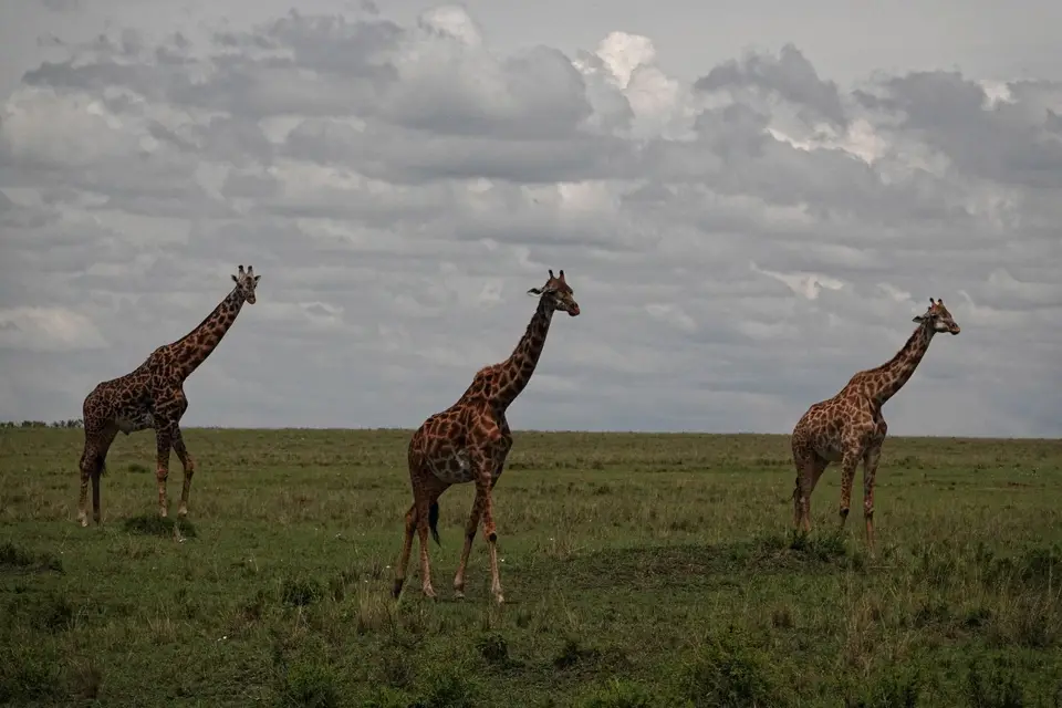 DSC00235_DxO.jpg