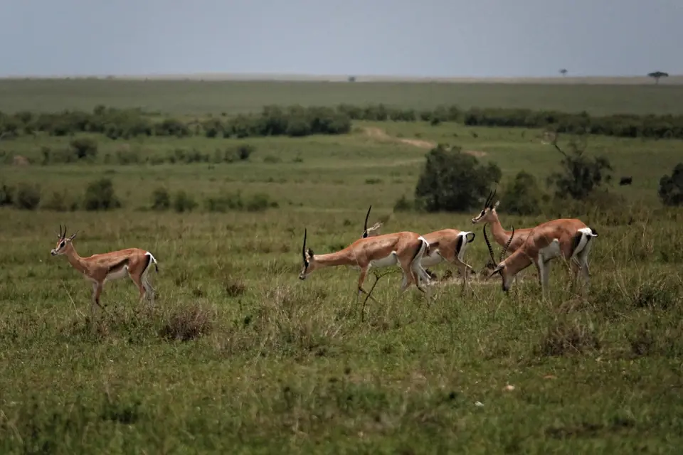 DSC00240_DxO.jpg