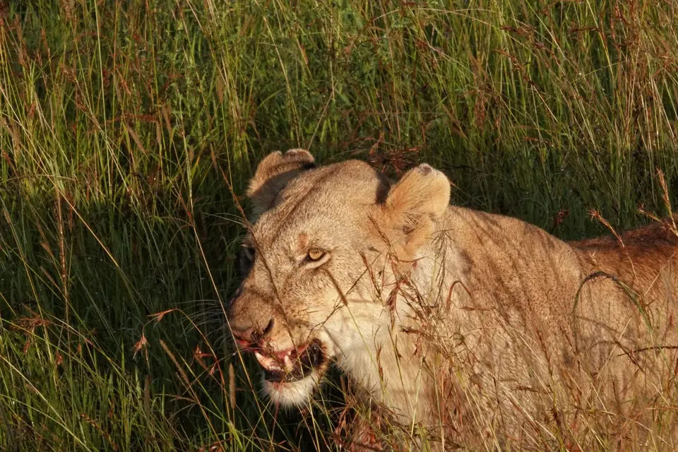 DSC00729_DxO.jpg