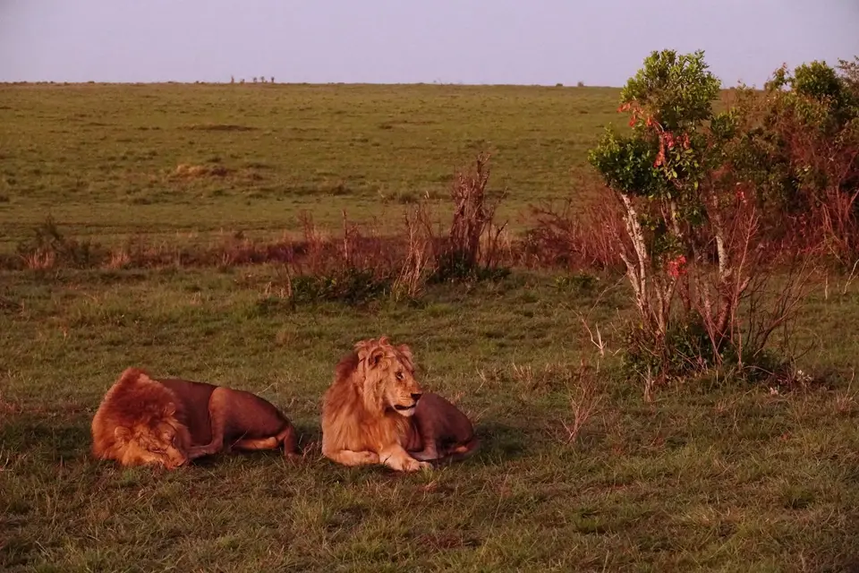 DSC00844_DxO-2.jpg