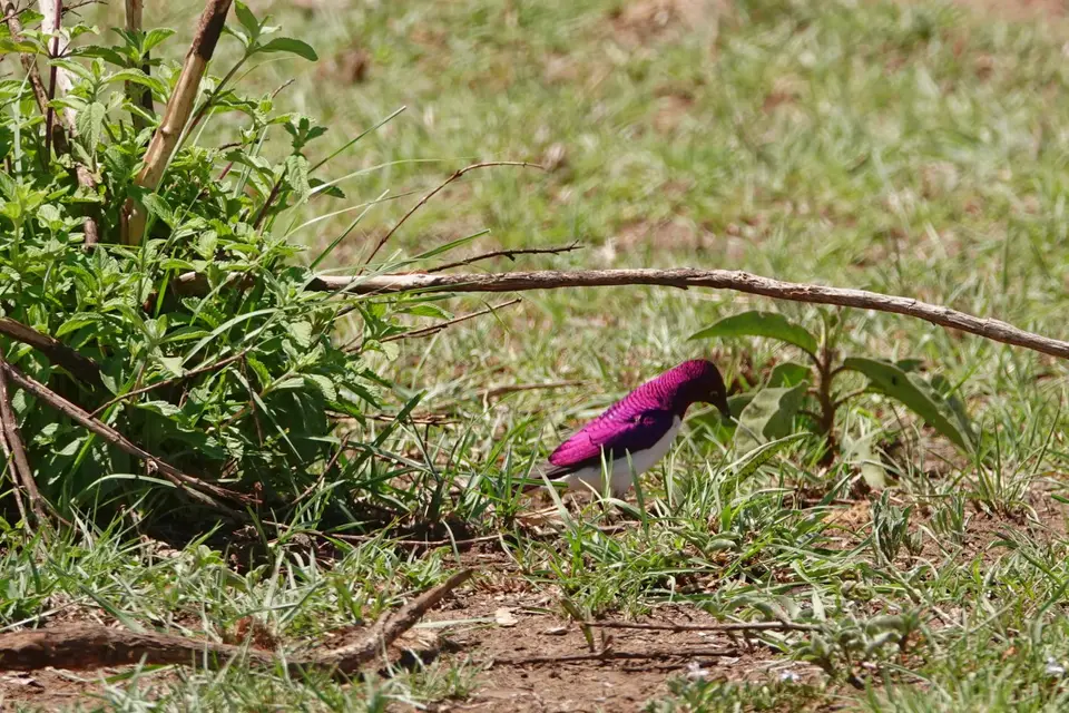 DSC01090_DxO.jpg