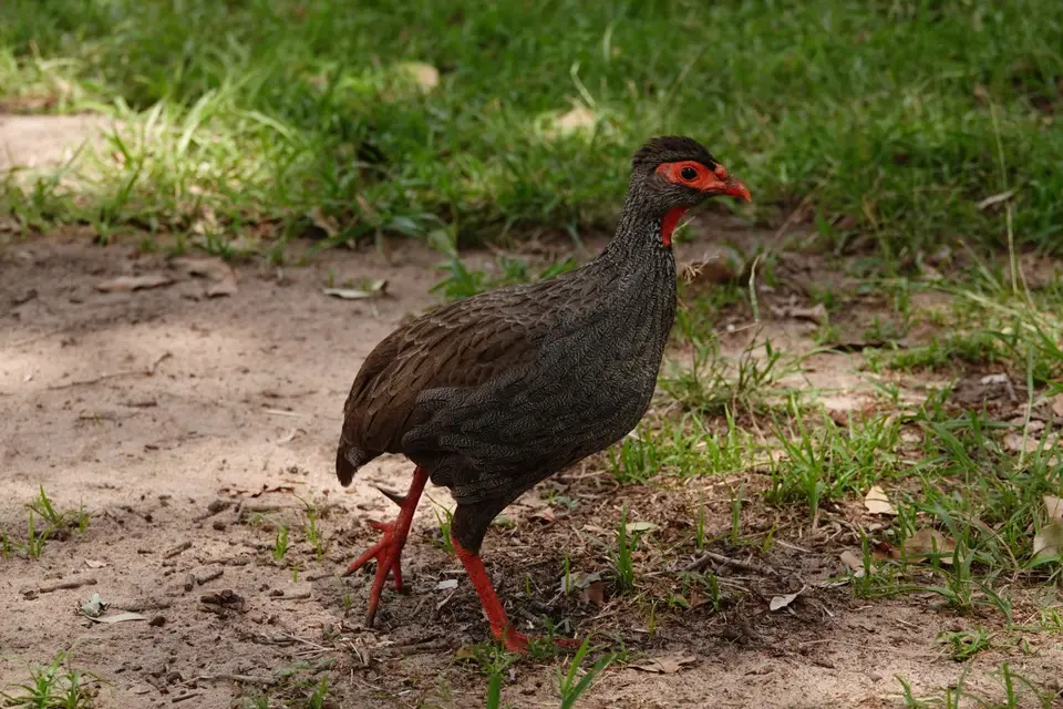 DSC01146_DxO.jpg