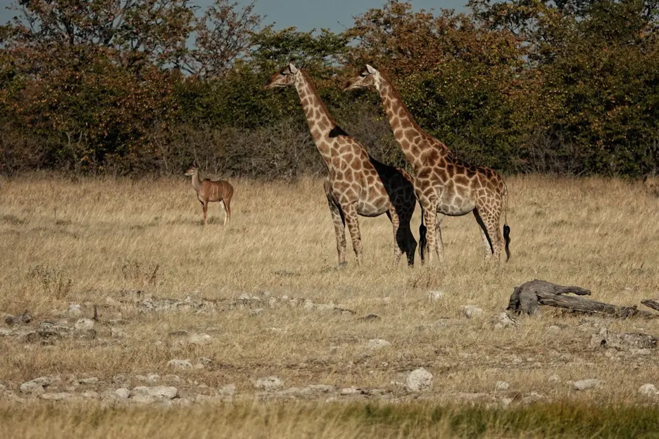 DSC01692_DxO.jpg