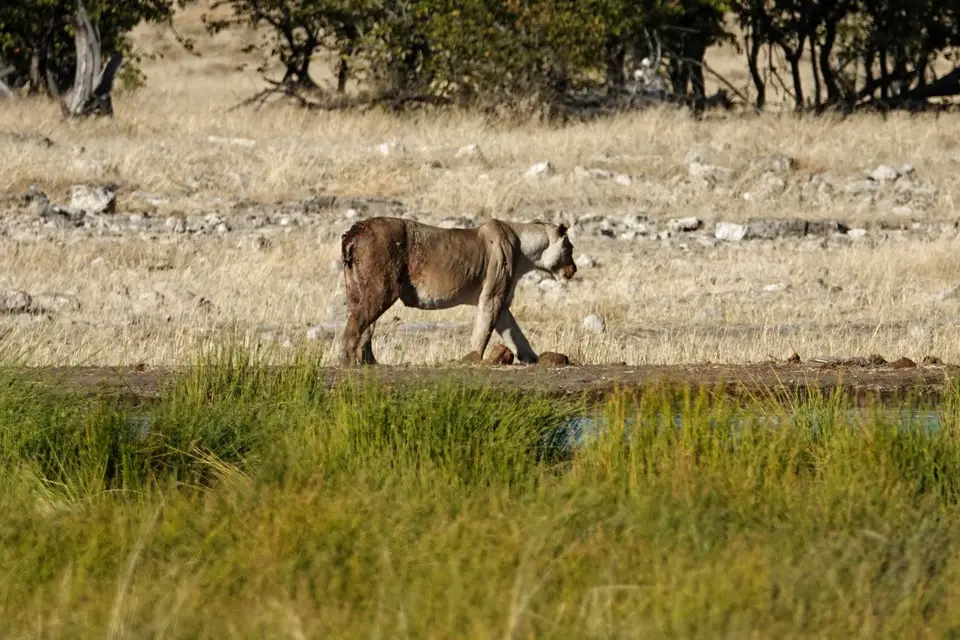 DSC01900_DxO.jpg