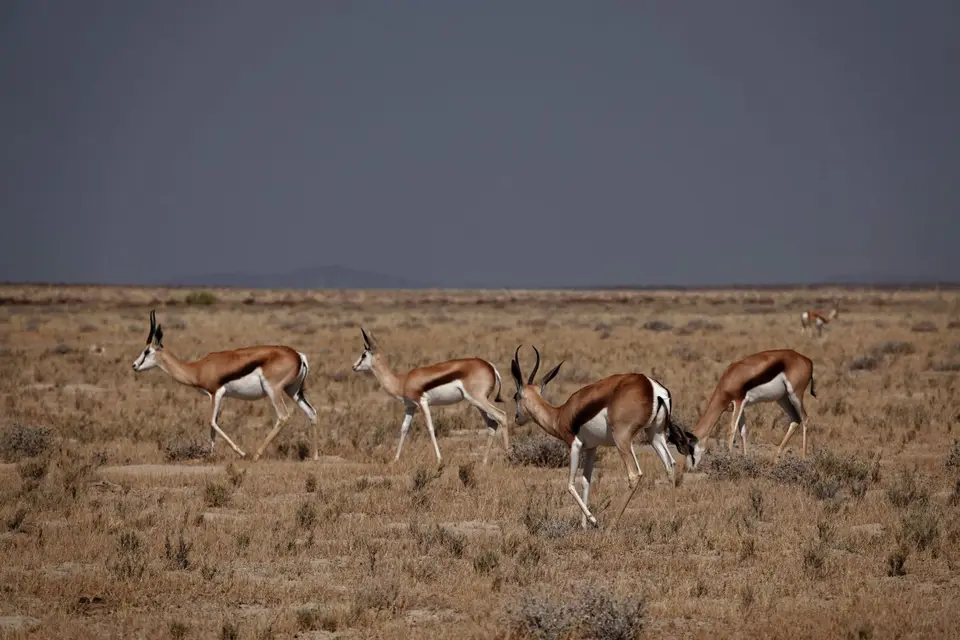 DSC02854_DxO.jpg