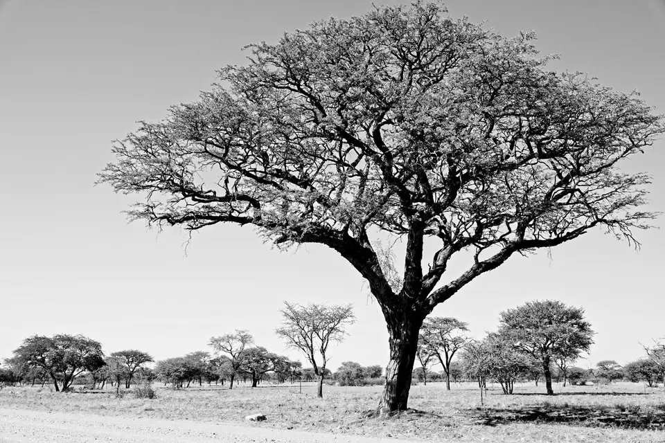 DSC02857_DxO.jpg