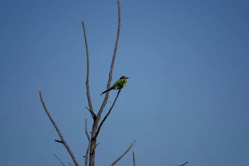 DSC03150.JPG