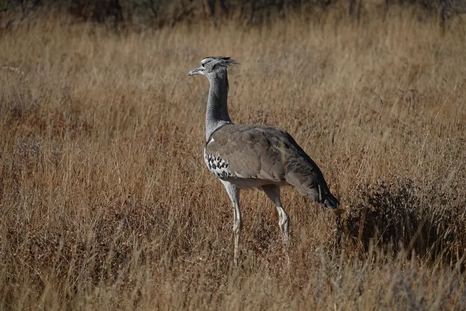 DSC03514_DxO.jpg