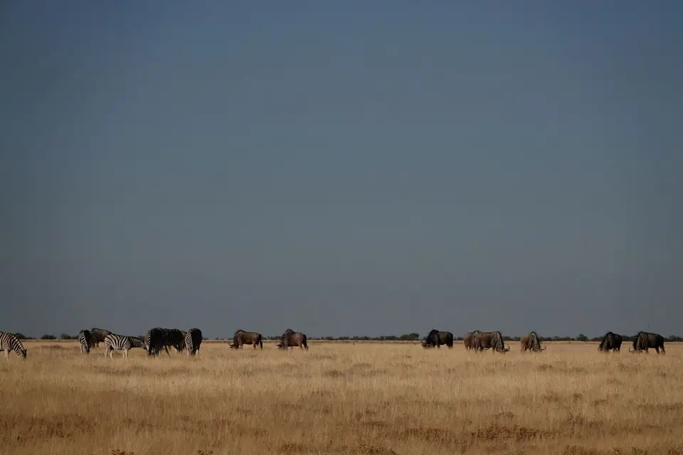 DSC03576_DxO.jpg