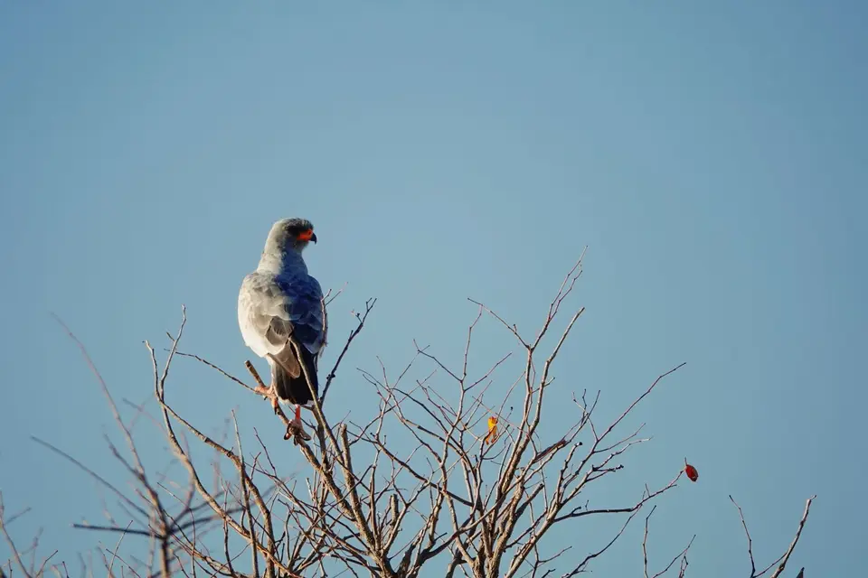 DSC03686_DxO.jpg