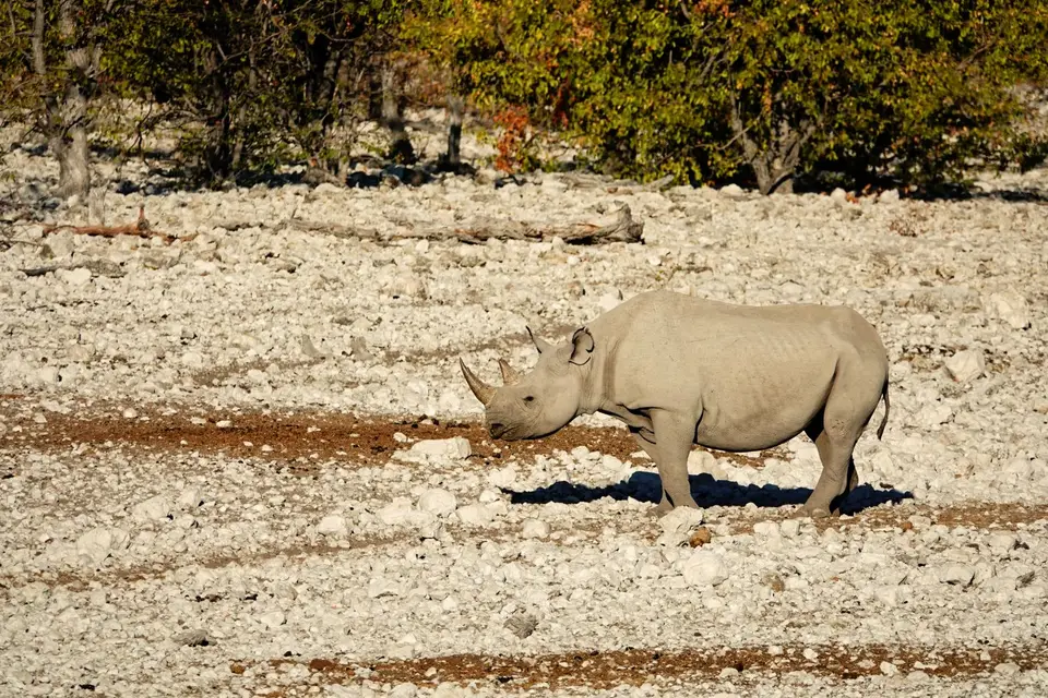DSC03778_DxO.jpg