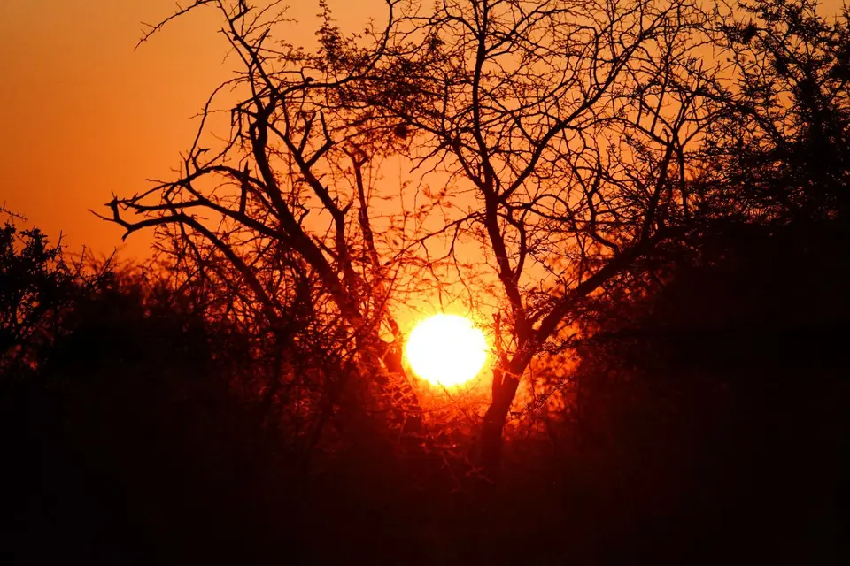 DSC03877_DxO.jpg