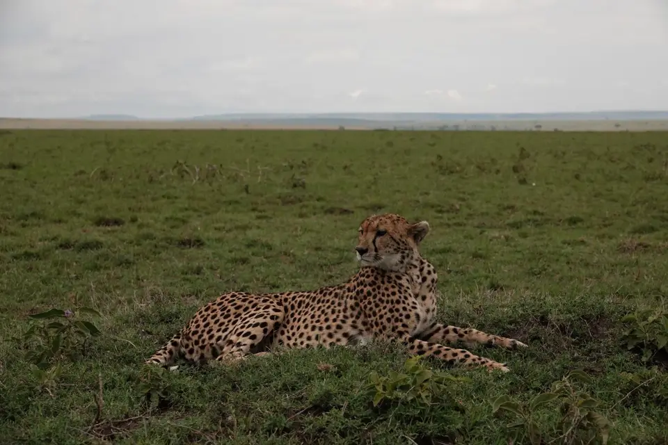 DSC07793_DxO.jpg