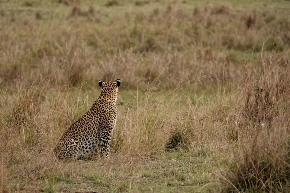 DSC08324_DxO.jpg