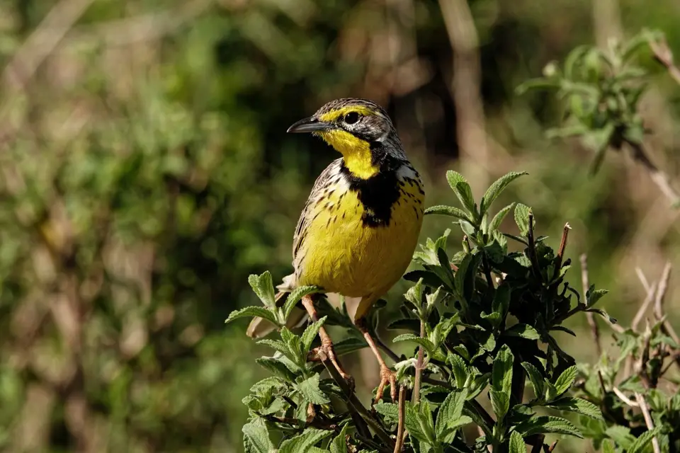 DSC08438_DxO.jpg