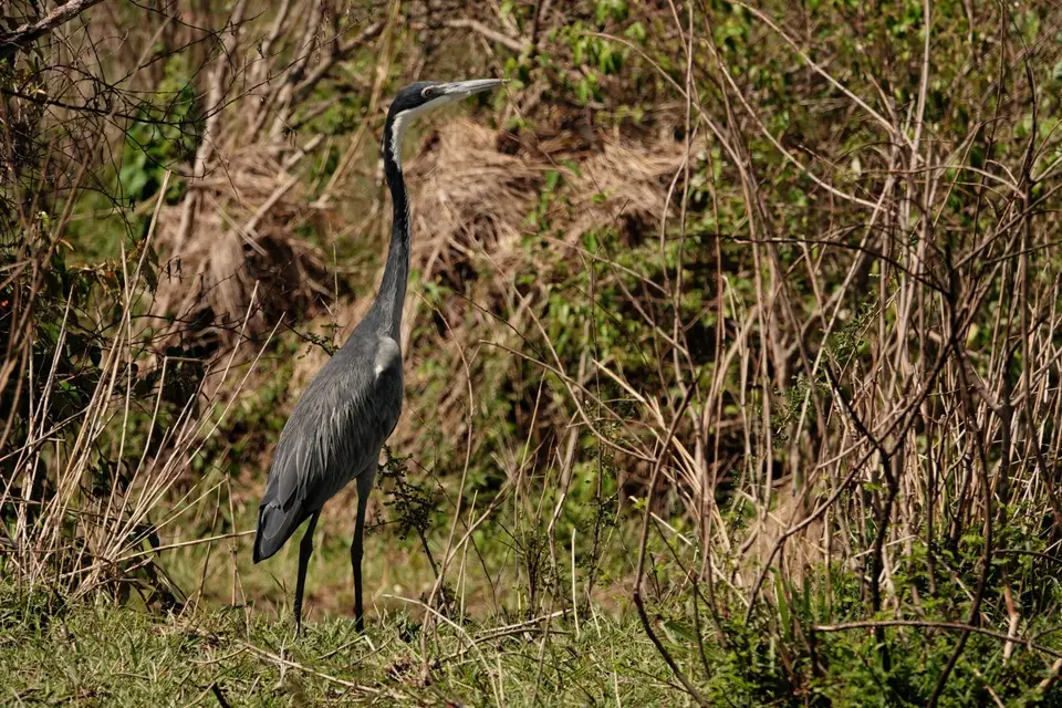 DSC08463_DxO.jpg
