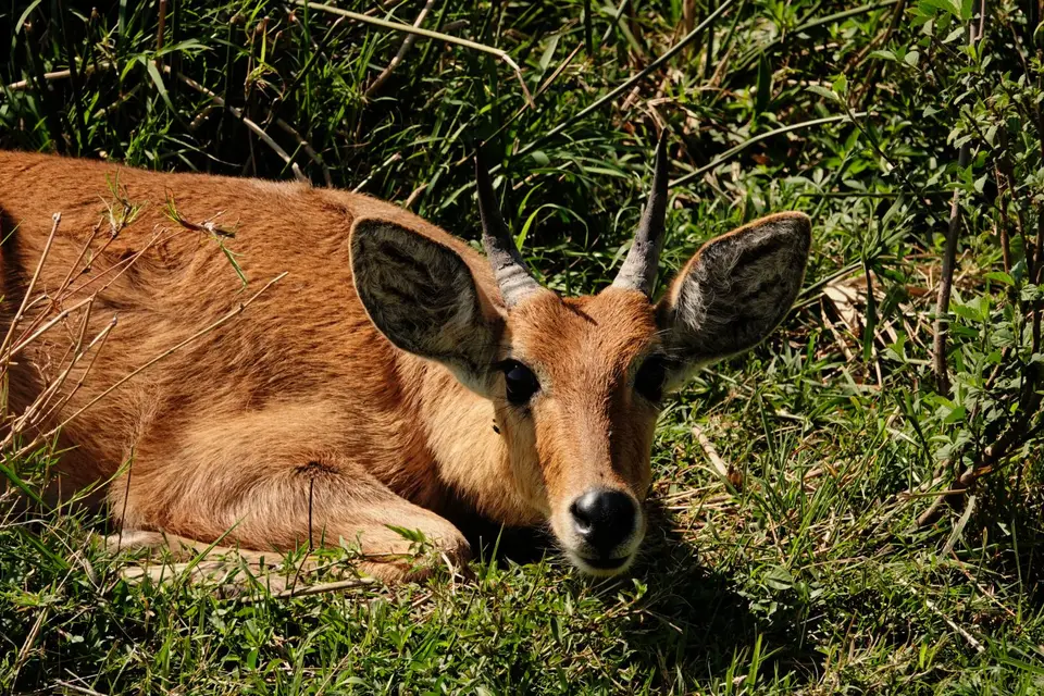 DSC08465_DxO.jpg