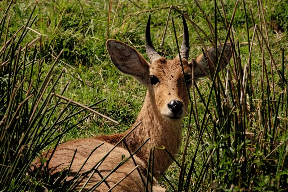 DSC08466_DxO.jpg