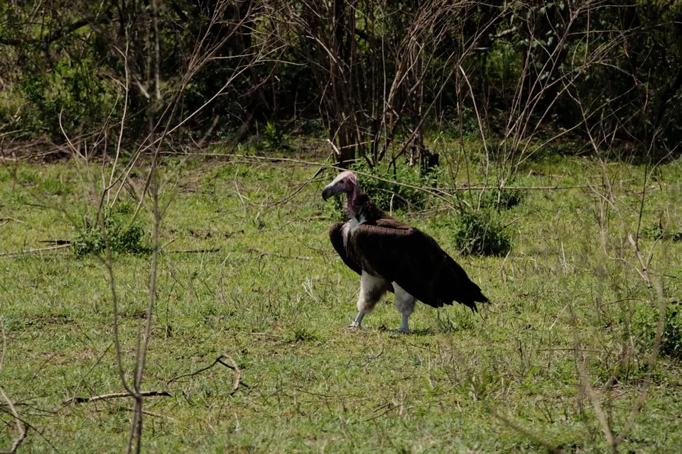 DSC08500_DxO.jpg