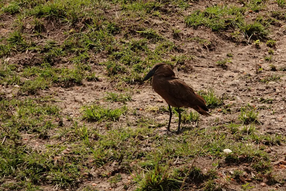 DSC08533_DxO.jpg