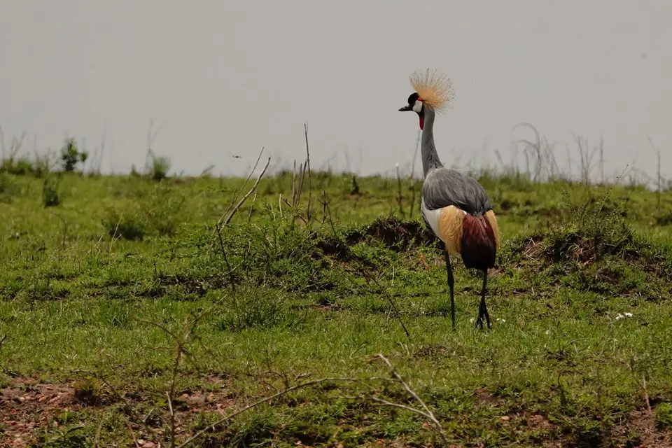 DSC08537_DxO.jpg