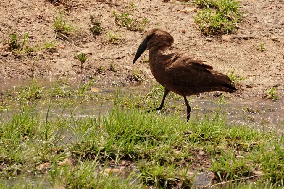DSC08549_DxO.jpg